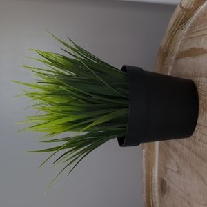 Fake grass plant